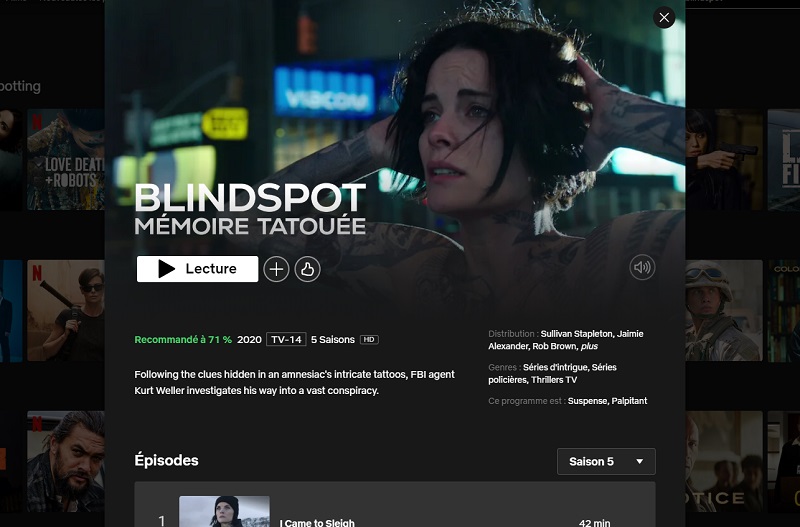 Comment regarder la série Blindspot sur Netflix en France ?