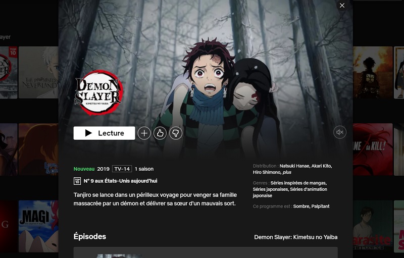 Comment voir Demon Slayer sur Netflix en France ?