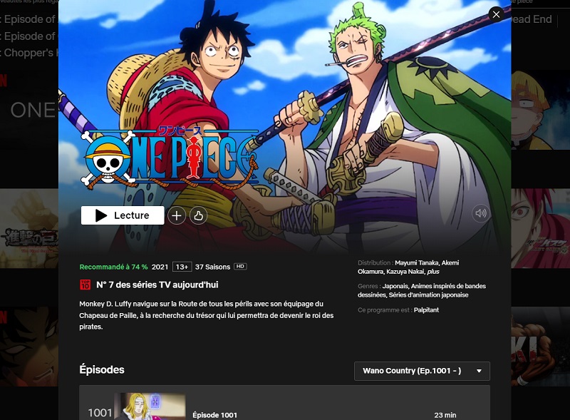 Comment regarder One Piece sur Netflix en France ?
