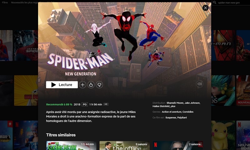 Comment regarder Spider-Man New Generation sur Netflix en France ?